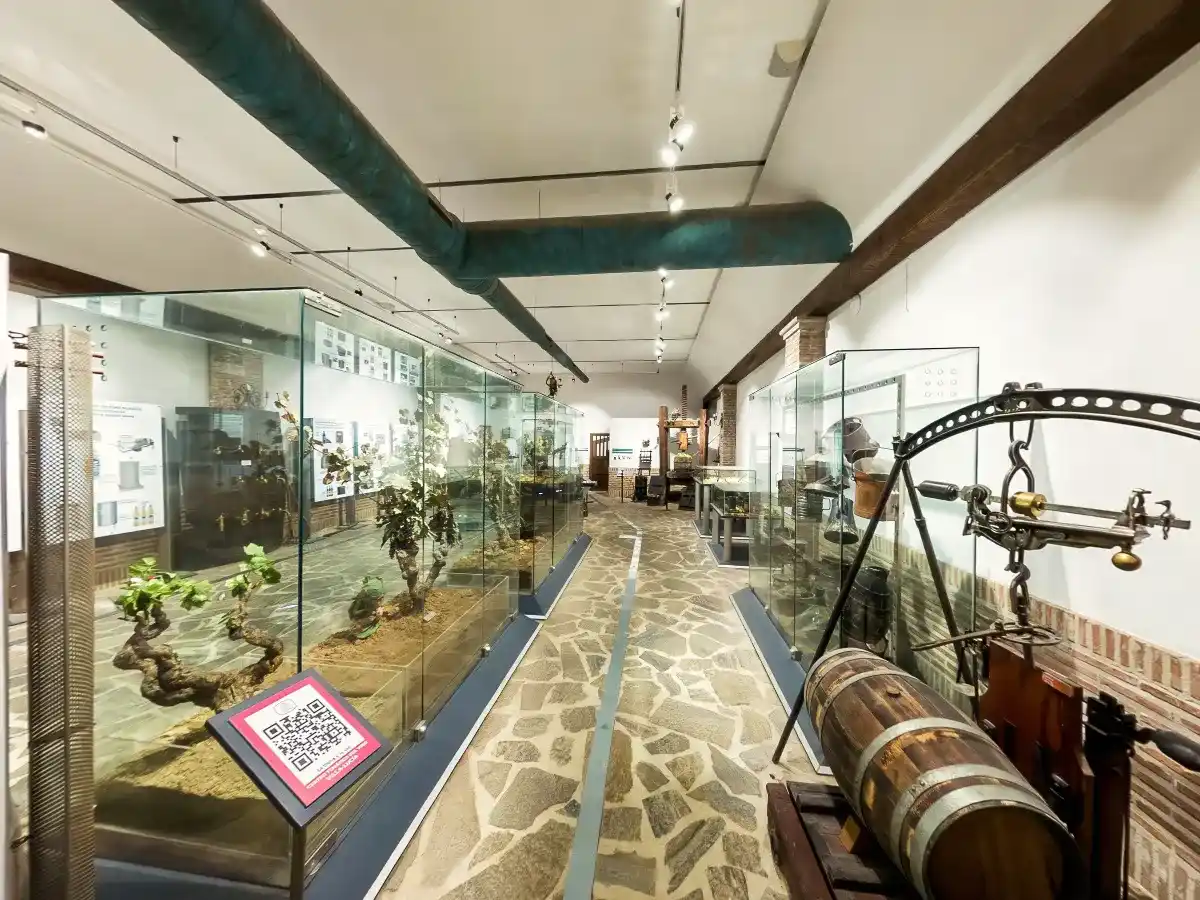 Experiencia inmersiva 360 grados en el Museo del Vino de Villa Lucía, en el corazón de la Rioja Alavesa.